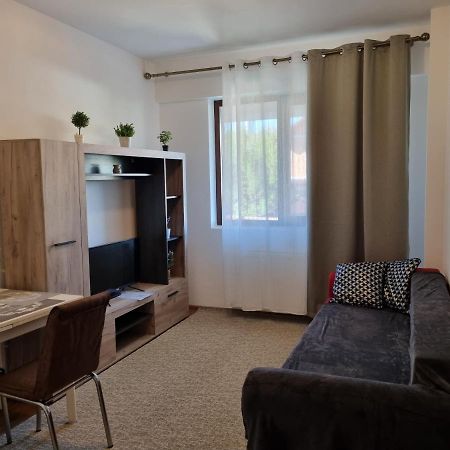 Ultracentral & Cozy, Palas Apt 이아시 외부 사진